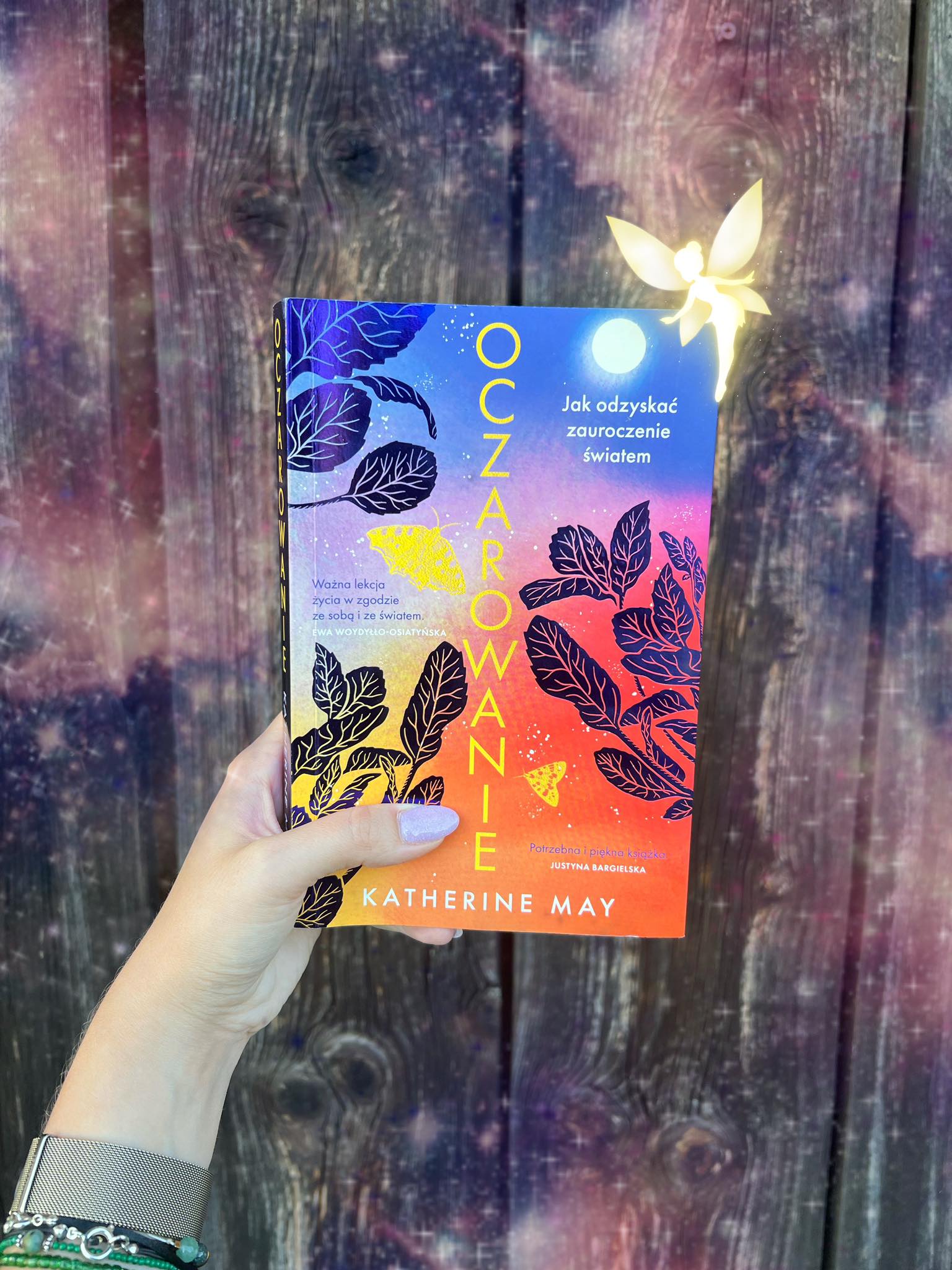 387344861_694805746036387_5523446706122297763_n